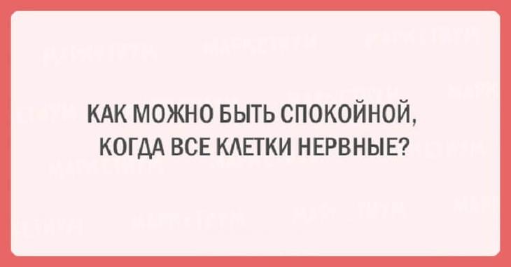 20 оригинальных шуток из жизни женщины