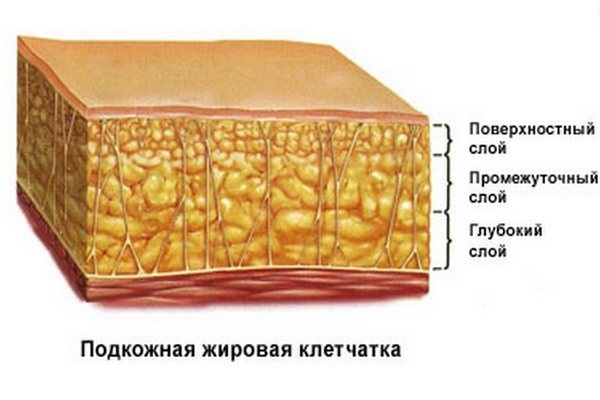 Целлюлит, как самый большой обман 21 столетия