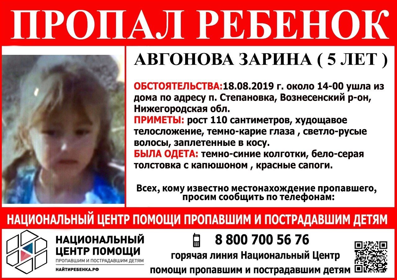 Пропавшую в Нижегородской области девочку разыскивают волонтеры Национального центра