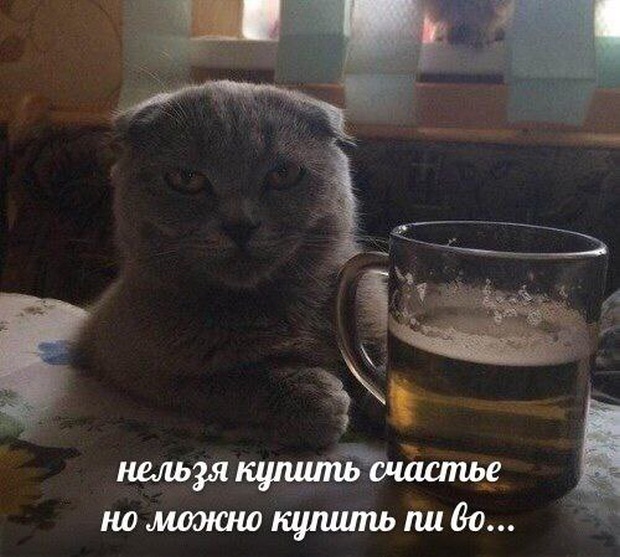 Подборка прикольных фото Подборка прикольных фото