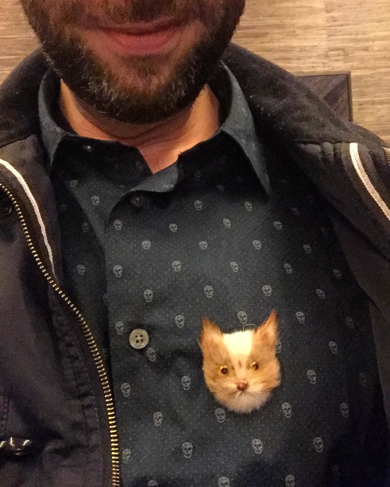 Когда настолько любишь кота, что хочешь, чтоб он всегда был рядом Когда настолько любишь кота, что хочешь, чтоб он всегда был рядом вещи, кошки, поделки, полезное, прикол, шерсть