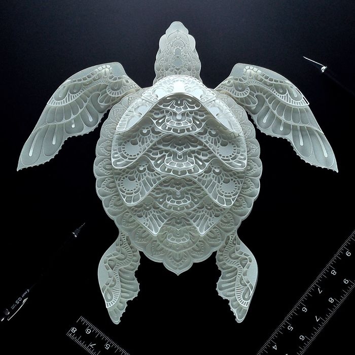 Sea Turtle