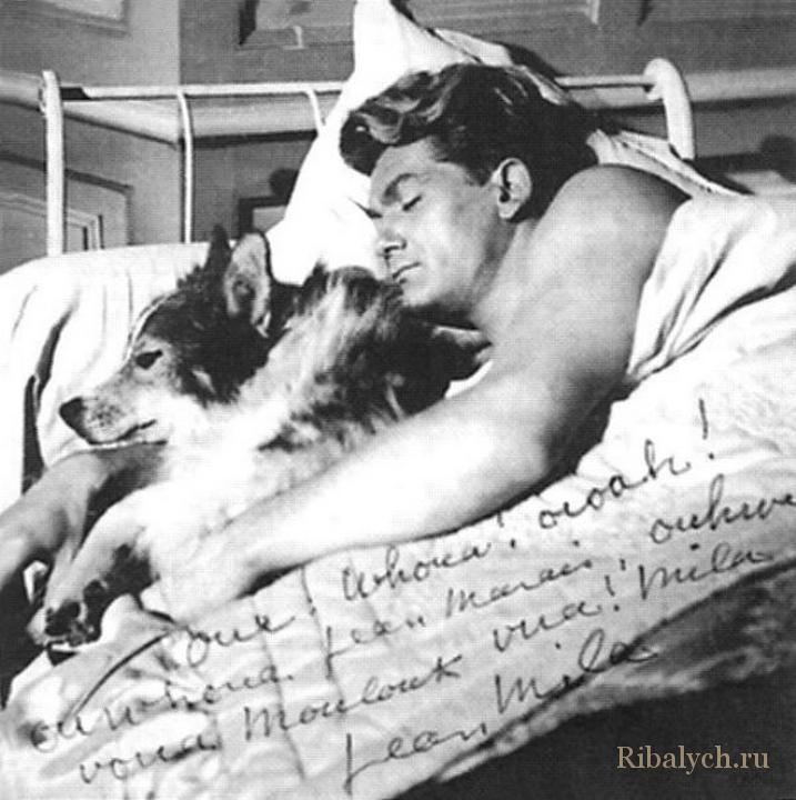 Его любили женщины, а он любил собак Его любили женщины, а он любил собак
