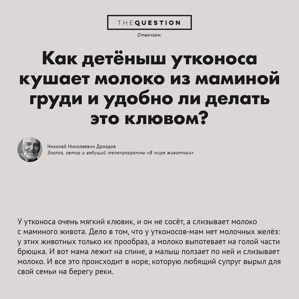 Простите, но это важно. Простите, но это важно.