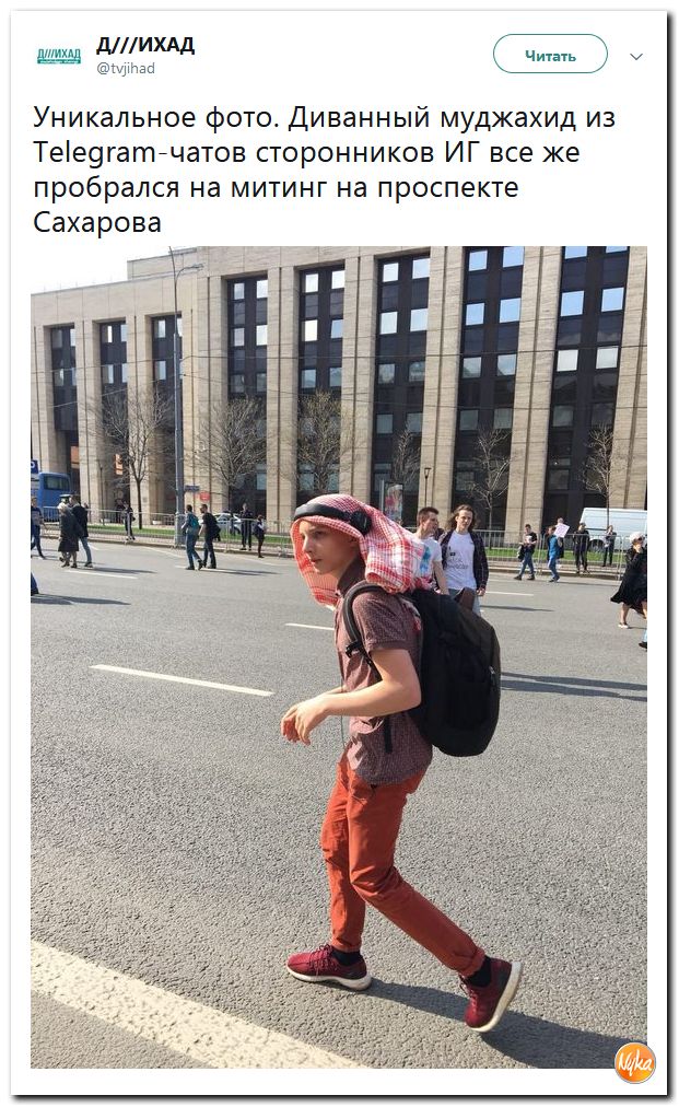 47.jpg