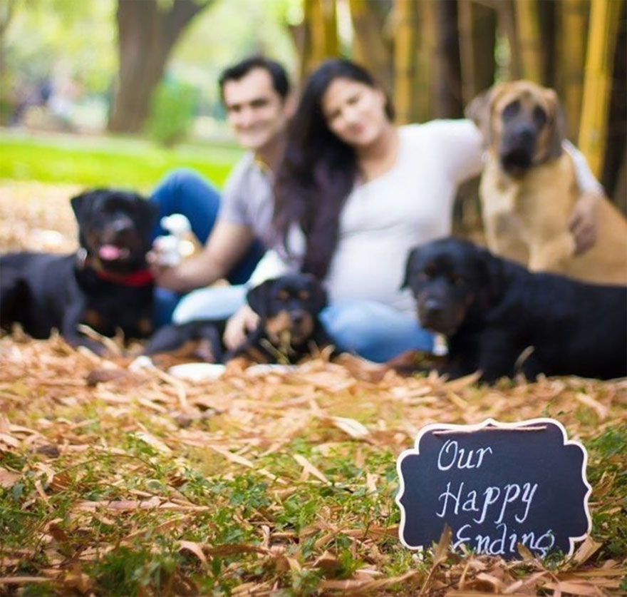 pregnant-couple-dogs-photoshoot-19