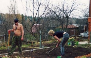 Разумная экономия площади на дачном участке или как сад превратить в огород Разумная экономия площади на дачном участке или как сад превратить в огород