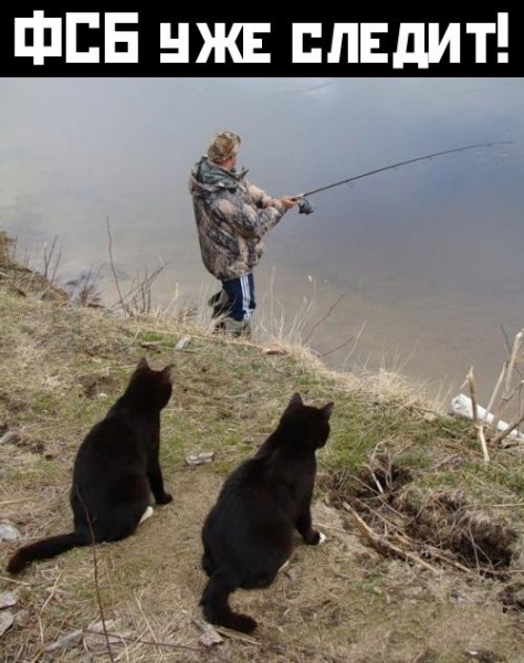 ФСБ будет следить за всеми пользователями соцсетей