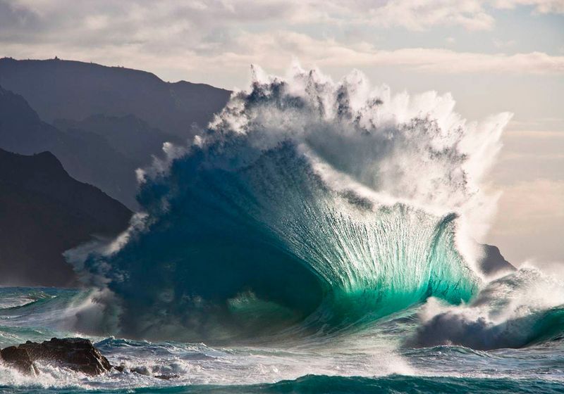 Фотоприкол недели