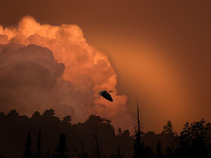 Peter Holme III Tutt'Art@ (20) (700x525, 196Kb)