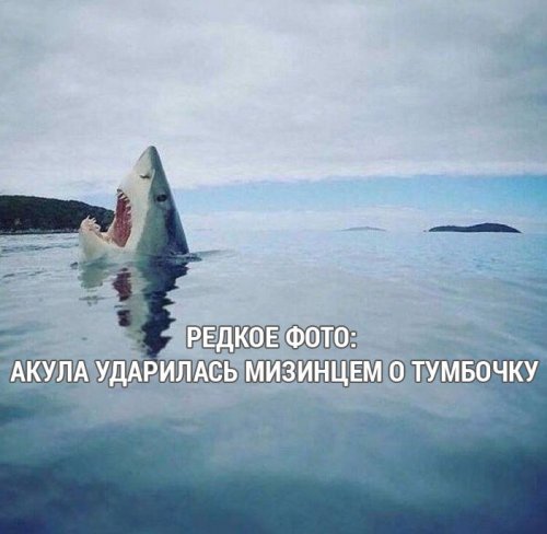 Посмеялся сам - поделись с другом!!!