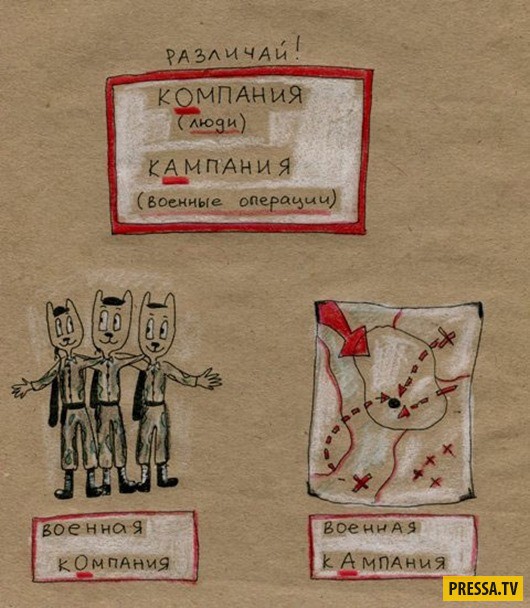 Для тех, кто забыл... Правила русского языка в картинках (22 фото)