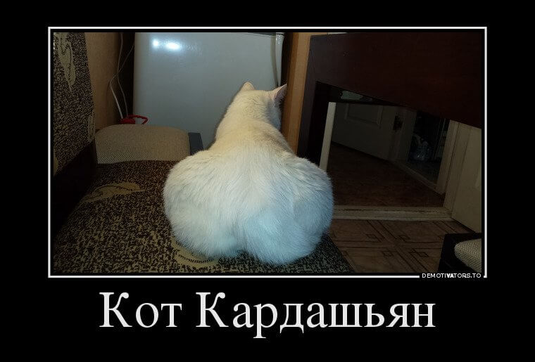 19+ мегаржачных демотиваторов, которые заставят вас кататься по полу :D 19+ мегаржачных демотиваторов, которые заставят вас кататься по полу :D