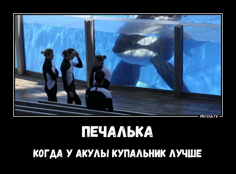ДЕМОТИВАТОРЫ + ДЕМОТИВАТОРЫ +