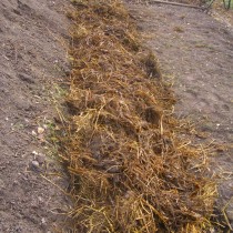 ������������ ���������� ����� ������. ��������� ������� ������� � ���������