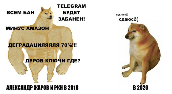 12 мемов про разблокировку Telegram
