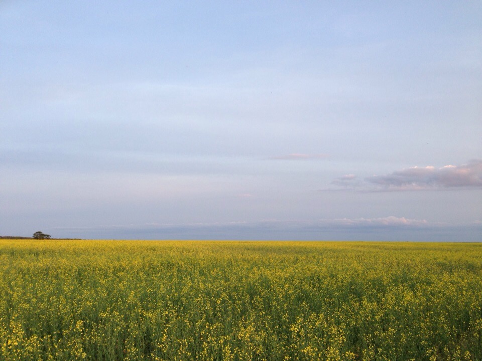 Природа России 35