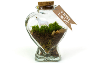 Террариум единорога