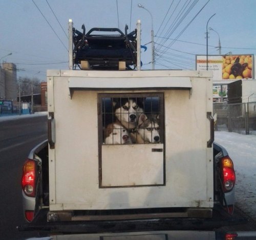 Новые АВТОприколы на Бугаге (24 фото) Новые АВТОприколы на Бугаге (24 фото)