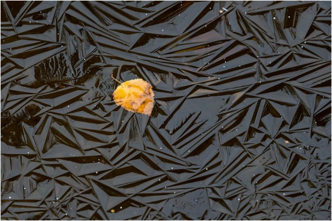 25 удивительных фотографий, на которых нет фотошопа 25 удивительных фотографий, на которых нет фотошопа