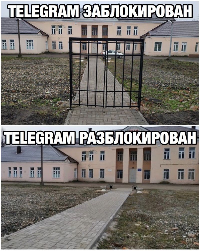 12 мемов про разблокировку Telegram
