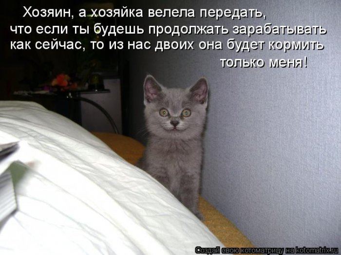 Котоматрицы :)