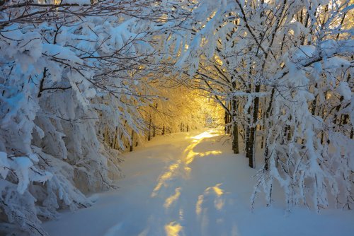 Волшебные тропы, которые так и манят (28 фото)