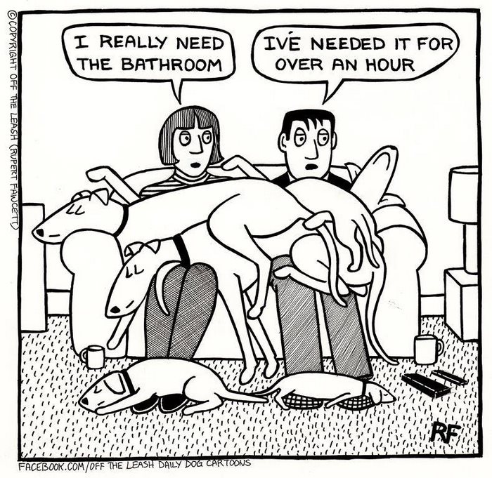 Funny Dog Cartoons