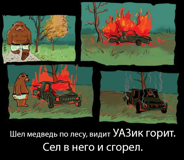 Анекдоты про медведя сгоревшего Анекдоты про медведя сгоревшего