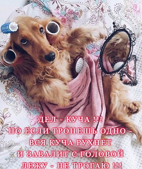 В январских выходных есть только один минус .... В январских выходных есть только один минус ....