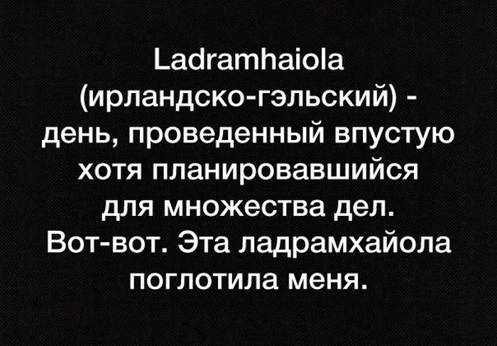 Смешные картинки с надписями для хорошего настроения (12 фото)