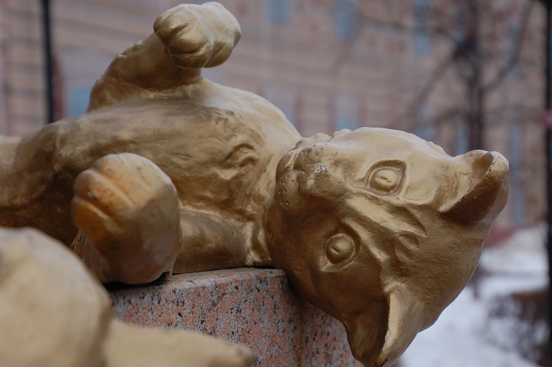 http://www.еловые-заметки.рф/assets/images/Tumen/DSC_6361.JPG