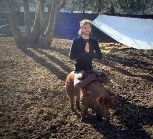 Что здесь происходит?! (21 фото) Что здесь происходит?! (21 фото)