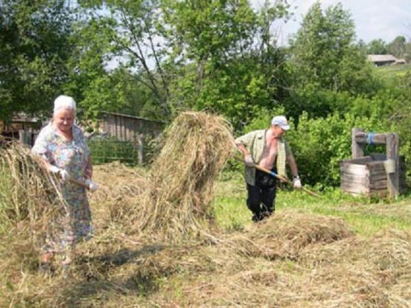 СЕНОВАЛ...(много,но интересно)