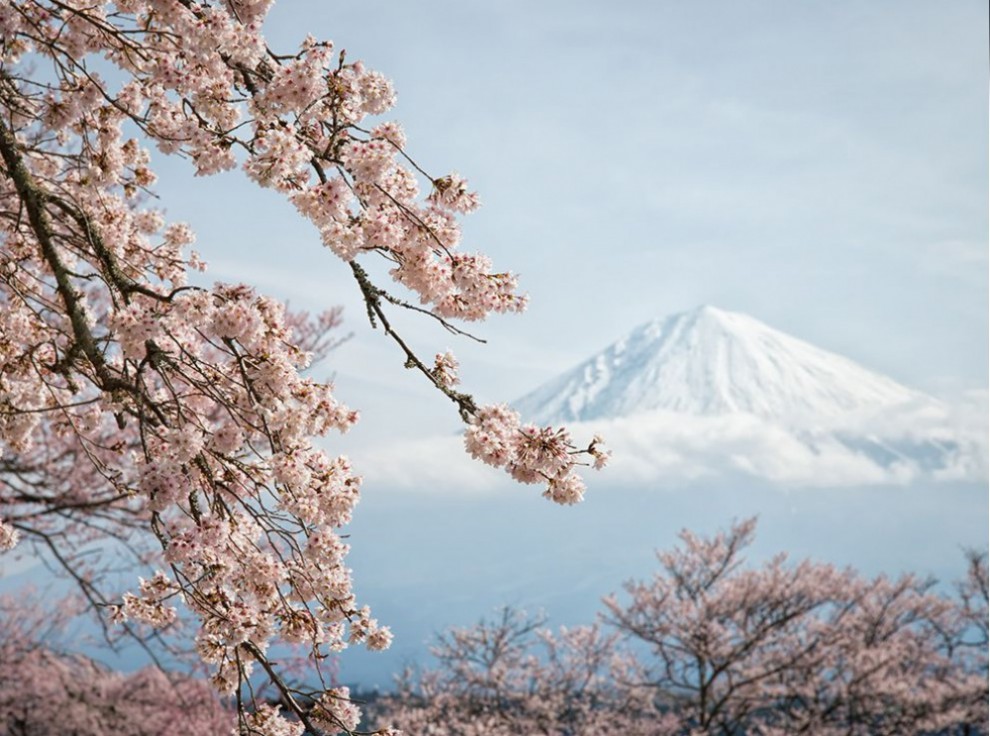 фото National Geographic