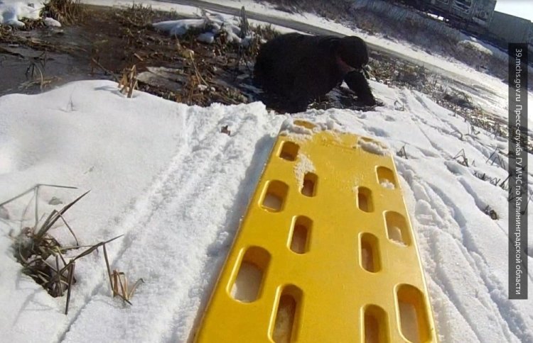 Сотрудники МЧС спасли трех провалившихся под лед мужчин в Ростовской области