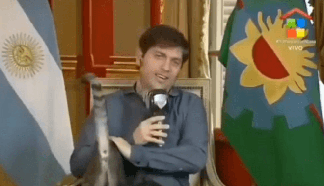 Кошка влезла в интервью губернатора Буэнос-Айреса, чтобы показать свою попу всей Аргентине