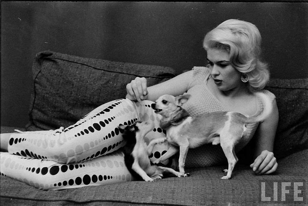 Актрисы Голливуда. Джейн Мэнсфилд(Jayne Mansfield).Костюмы 1950-х. 501 Иконы Голливуда: Джейн Мэнсфилд