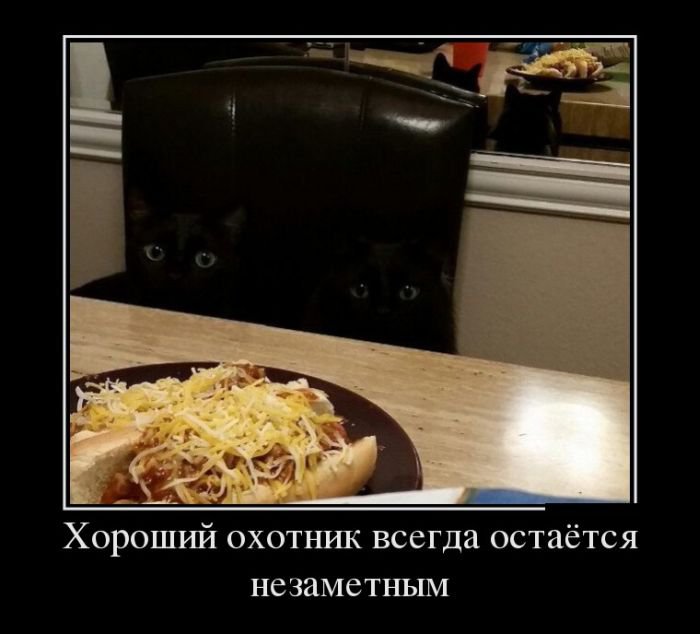 Демотиваторы, смешные комментарии и фото из сетей Демотиваторы, смешные комментарии и фото из сетей