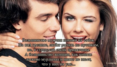 Цитаты, милые цитаты...