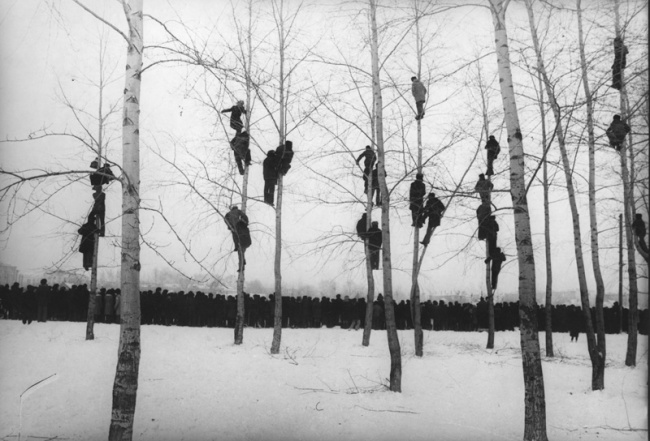 64 ГЕНИАЛЬНЫХ ФОТОГРАФИИ СОВЕТСКОЙ ЭПОХИ «Грачи прилетели», 1964 год. Фото: Микола Гнисюк