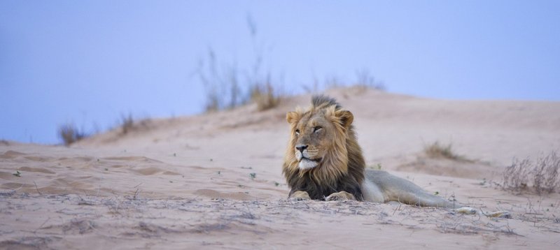 Подборка замечательных фотографий от National Geographic