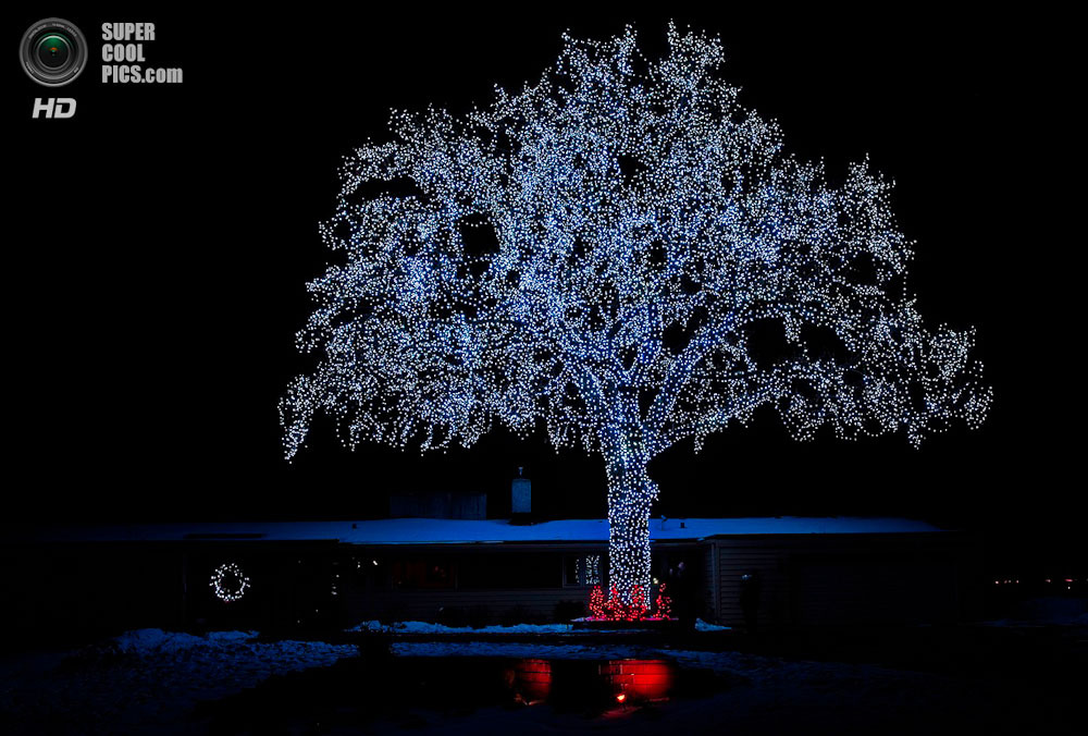 Рождественская сказка