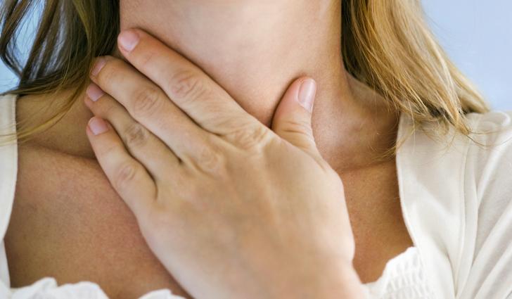 Лечебные свойства золотого уса Лечебные свойства золотого уса