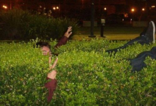 А поутру они проснулись… (24 фото) А поутру они проснулись… (24 фото)