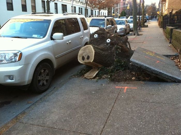 Красивые фото