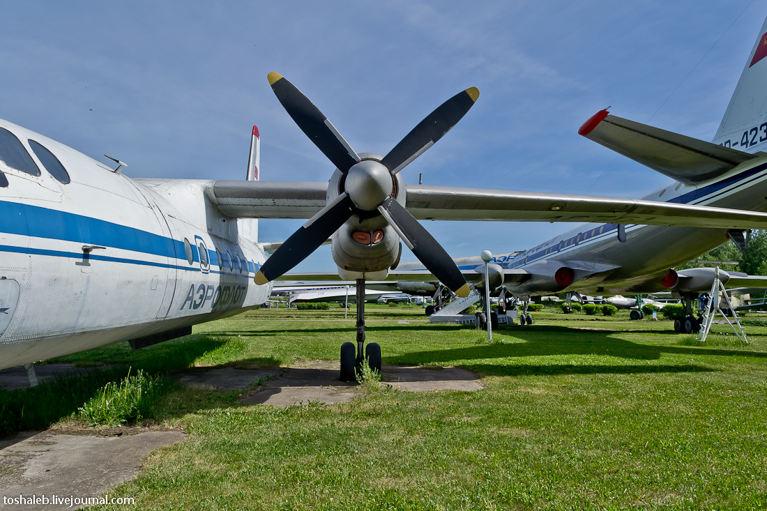 Aviation Museum-19