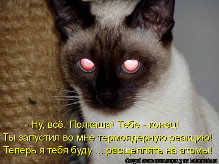 Самые весёлые котоматрицы)) Самые весёлые котоматрицы))