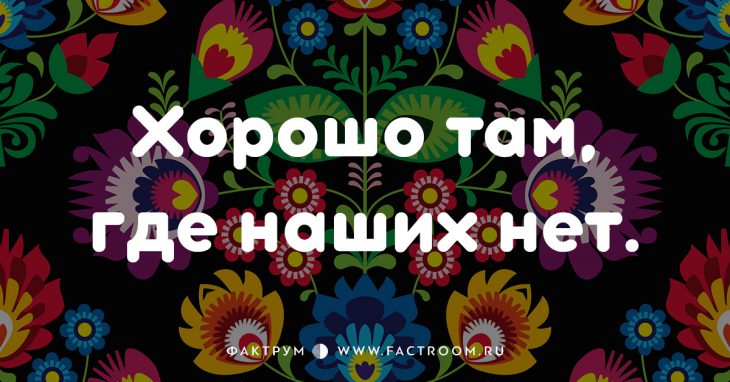 20 смешных современных поговорок, которых вы ещё не слышали 20 смешных современных поговорок, которых вы ещё не слышали