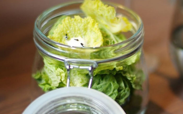 FoodsEatenAlive05 Съешь живым: 10 самых садистских блюд в мире